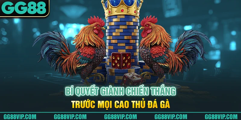 Bí quyết chơi đá gà cựa dao được tổng hợp từ cao thủ Bí quyết chơi đá gà cựa dao được tổng hợp từ cao thủ