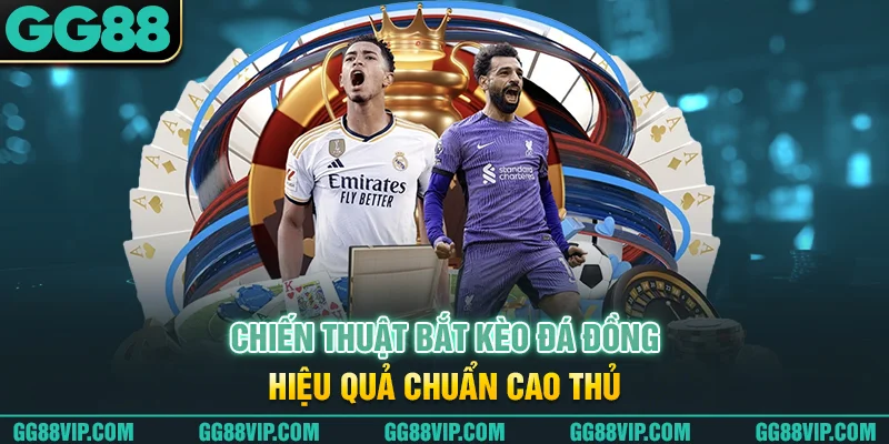 Chiến thuật bắt kèo đá đồng hiệu quả chuẩn cao thủ Chiến thuật bắt kèo đá đồng hiệu quả chuẩn cao thủ