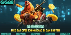 Đá Gà Cựa Dao - Mẹo Đặt Cược Không Khác Gì Dân Chuyên