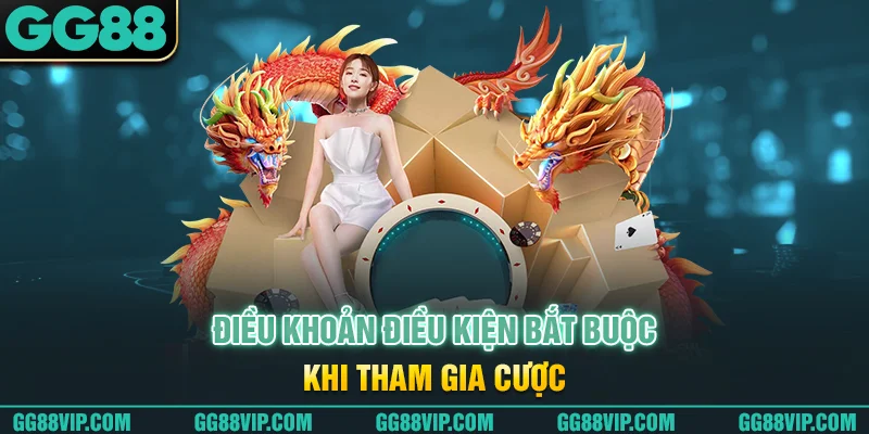Điều khoản điều kiện bắt buộc khi tham gia cược Điều khoản điều kiện bắt buộc khi tham gia cược