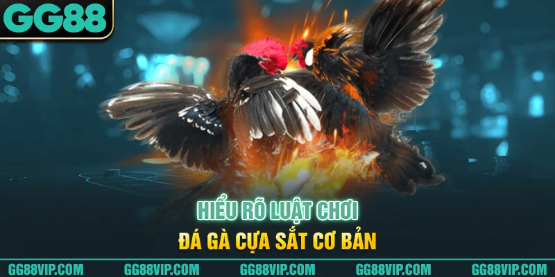 Hiểu rõ luật chơi đá gà cựa sắt cơ bản Hiểu rõ luật chơi đá gà cựa sắt cơ bản