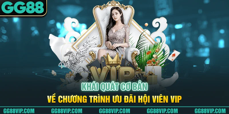Khái quát cơ bản về chương trình ưu đãi hội viên VIP Khái quát cơ bản về chương trình ưu đãi hội viên VIP