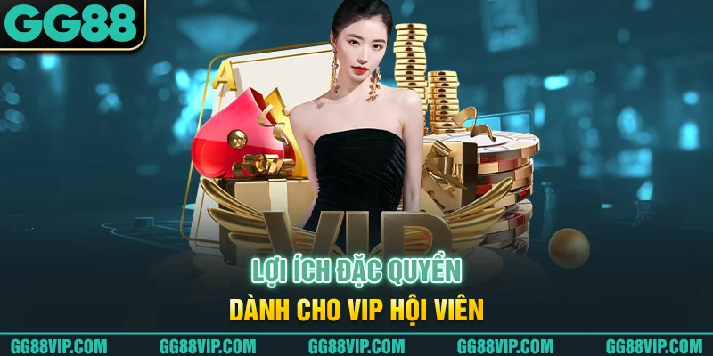 Lợi ích đặc quyền dành cho những vip hội viên Lợi ích đặc quyền dành cho những vip hội viên