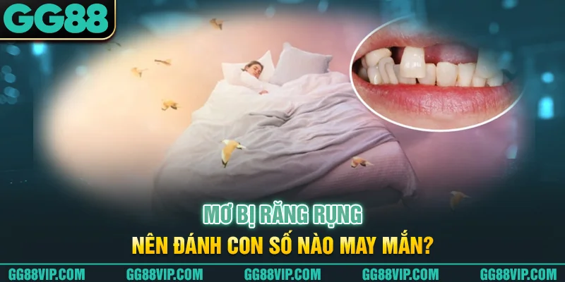 Mơ bị răng rụng nên đánh con số nào may mắn? Mơ bị răng rụng nên đánh con số nào may mắn?