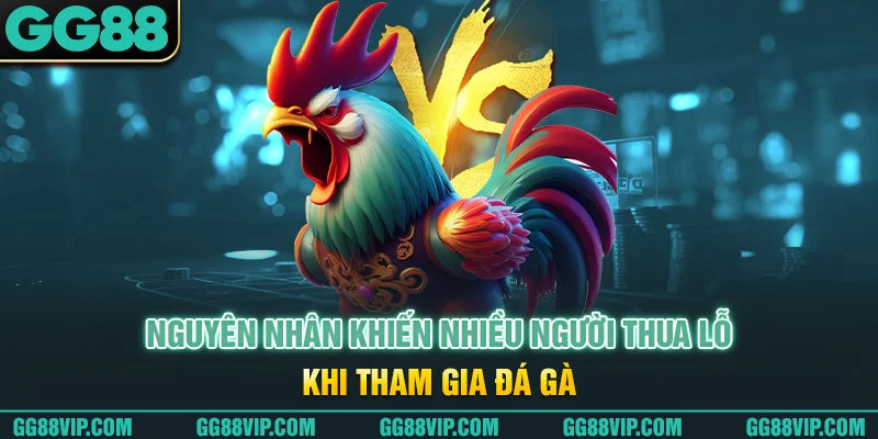 Nguyên nhân khiến nhiều người thua lỗ khi tham gia đá gà Nguyên nhân khiến nhiều người thua lỗ khi tham gia đá gà
