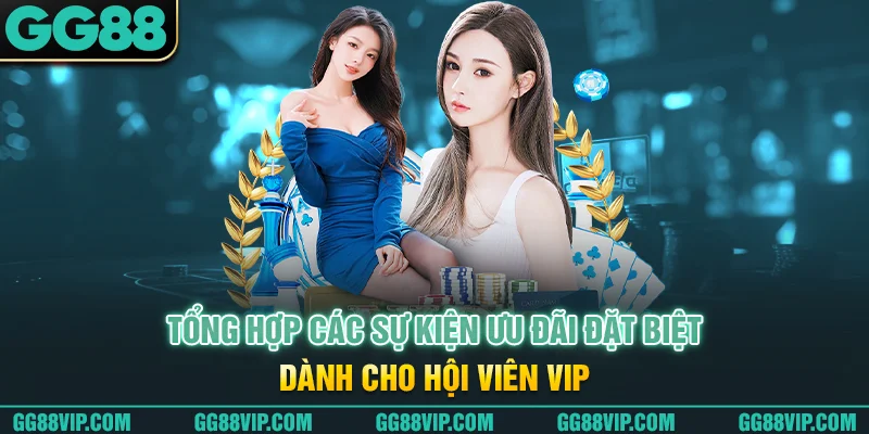 Tổng hợp các sự kiện ưu đãi đặt biệt dành cho hội viên VIP Tổng hợp các sự kiện ưu đãi đặt biệt dành cho hội viên VIP