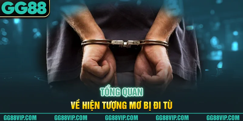 Tổng quan về hiện tượng mơ bị đi tù Tổng quan về hiện tượng mơ bị đi tù