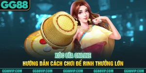Xóc Đĩa Online – Hướng Dẫn Cách Chơi Để Rinh Thưởng Lớn